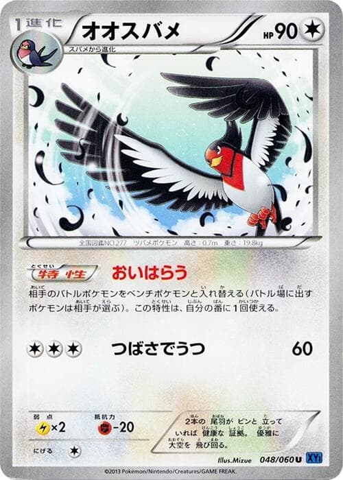 Swellow 048