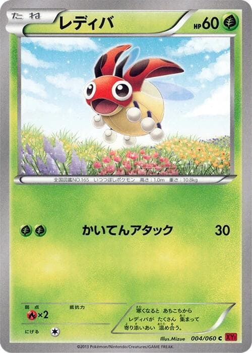 Ledyba 004