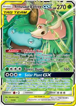Venusaur & Snivy GX 1 Normal