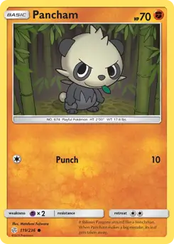 Pancham 119 Normal