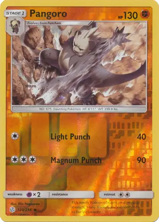 Pangoro Reverse Holo 120