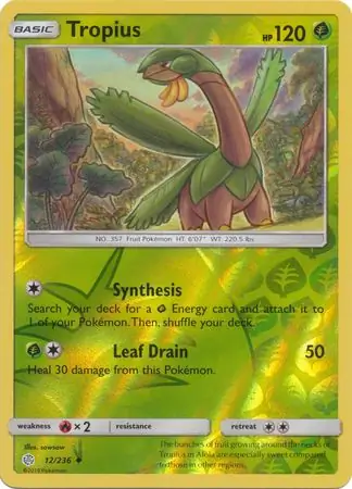 Tropius Reverse Holo 12