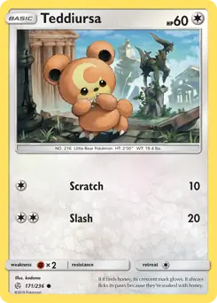 Teddiursa 171 Normal