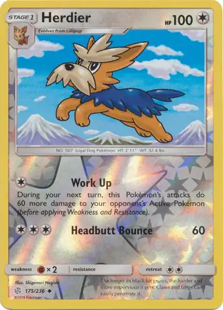 Herdier Reverse Holo 175 Normal
