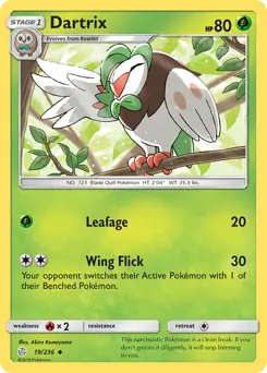 Dartrix 19 Normal