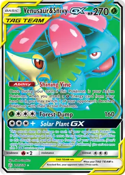 Full Art Venusaur & Snivy GX 210