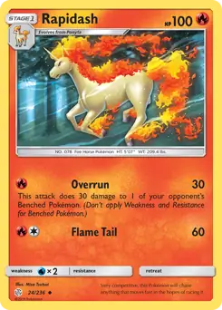Rapidash 24 Normal