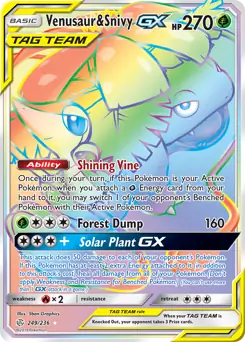 Venusaur & Snivy GX Secret 249 Normal