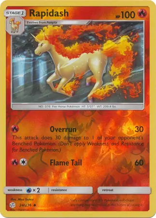 Rapidash Reverse Holo 24 Normal