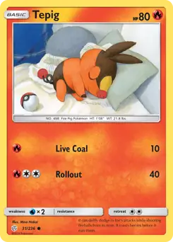 Tepig 31 Normal