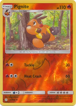 Pignite Reverse Holo 32 Normal