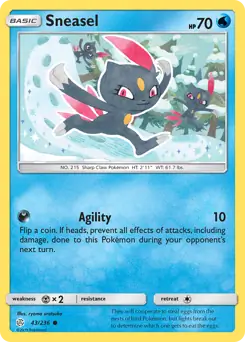 Sneasel 43 Normal