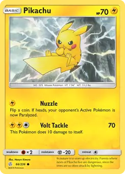 Pikachu 66 Normal