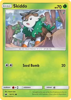 Skiddo 10 Normal