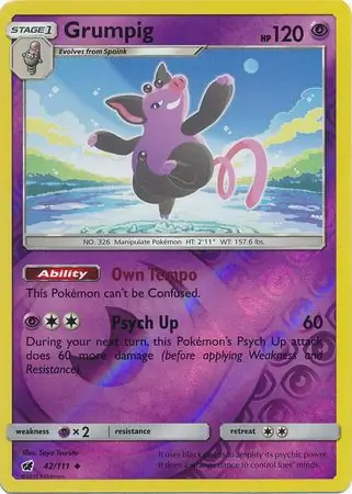 Grumpig Reverse Holo 42 Normal