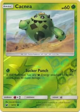 Cacnea Reverse Holo