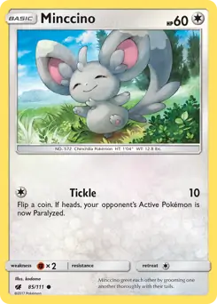 Minccino 85 Normal