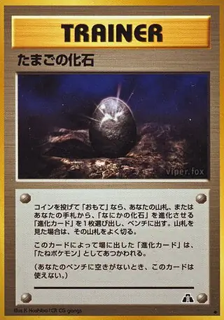 Fossil Egg  