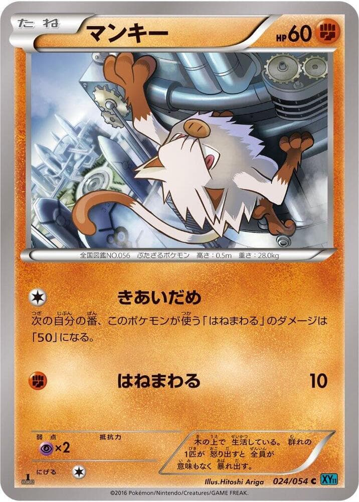 Mankey 24