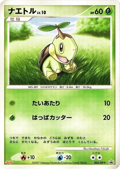 Turtwig 005