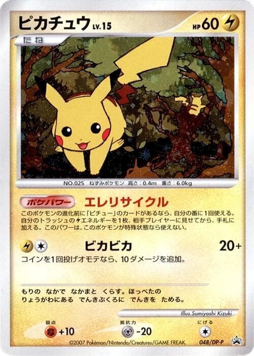 Pikachu 048