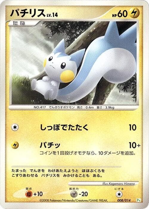Pachirisu 008