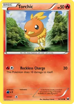 Torchic 14 Normal