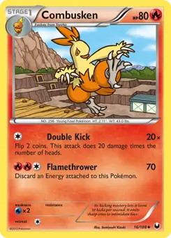 Combusken 16 Normal