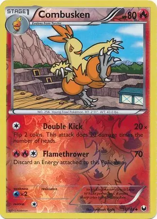 Combusken Reverse Holo 16 Normal