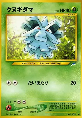 Pineco 204