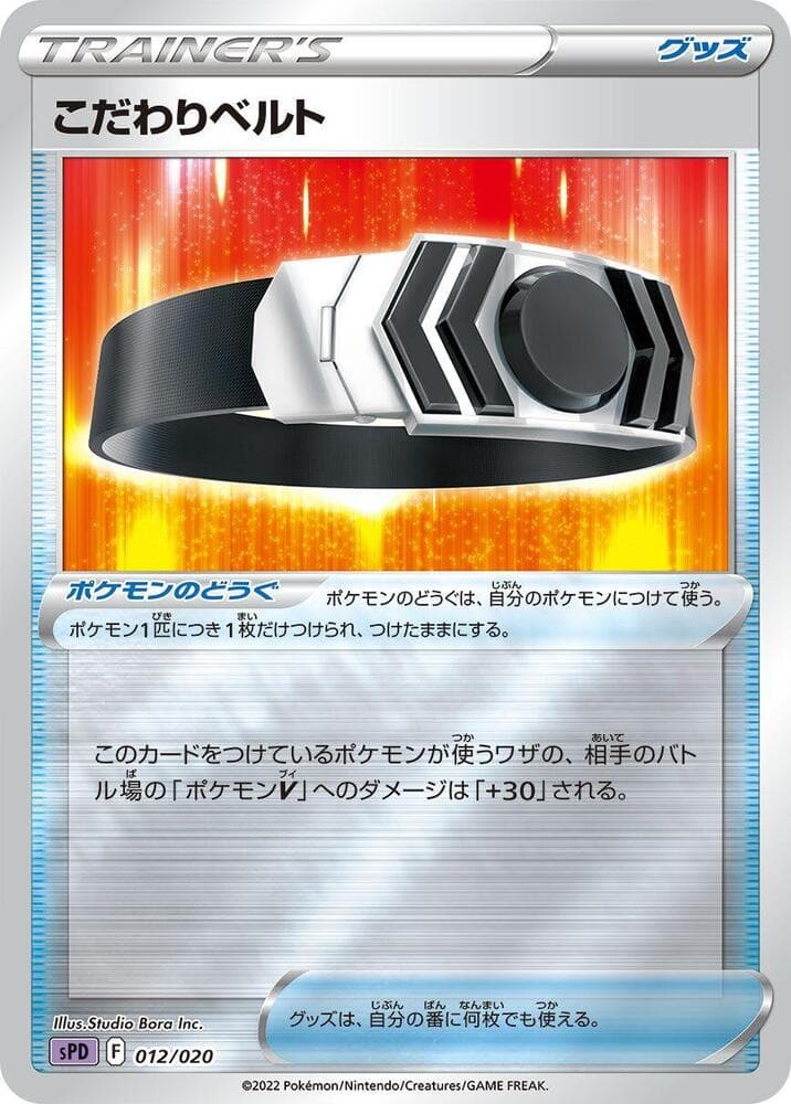 Choice Belt 012