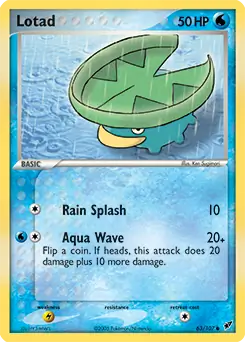 Lotad 63
