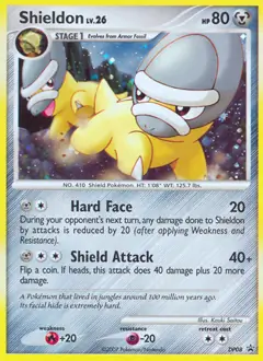 Shieldon DP08 Normal
