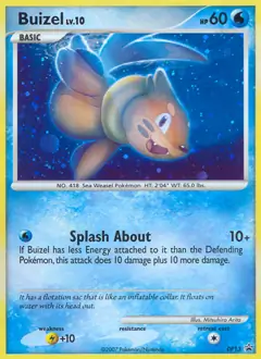 Buizel DP13