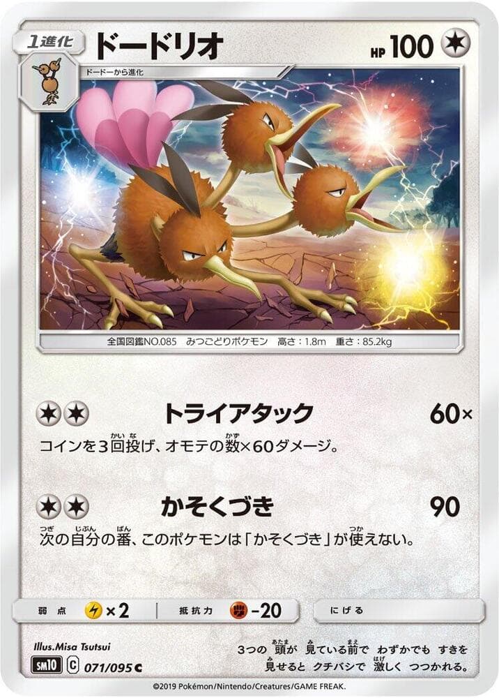 Dodrio 071
