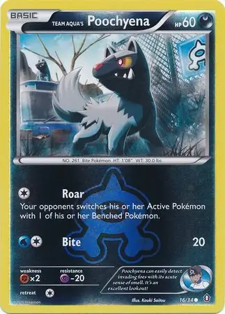 Team Aqua's Poochyena Reverse Holo 16 Normal