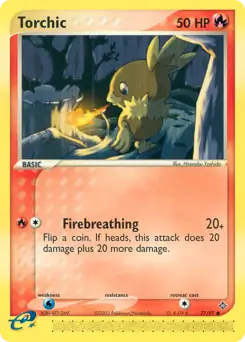Torchic 77