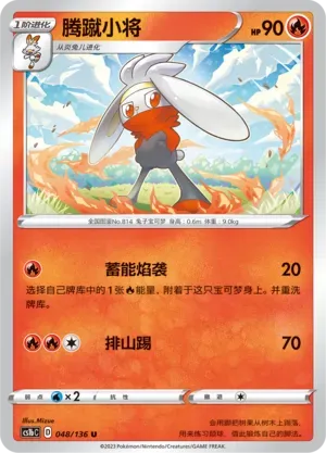 Raboot Reverse Holo 048 Normal