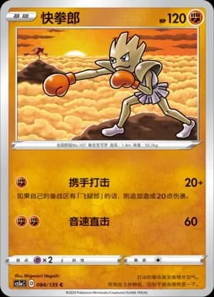 Hitmonchan 084