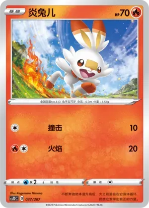 Scorbunny 037