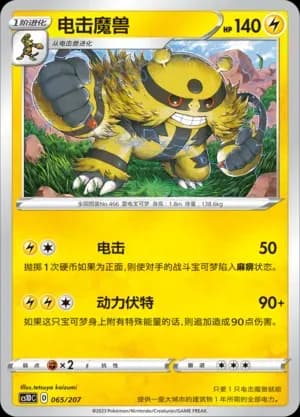 Electivire 065