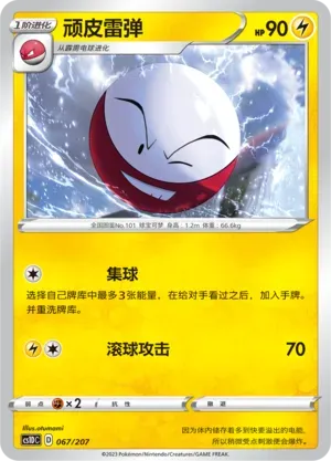 Electrode 067