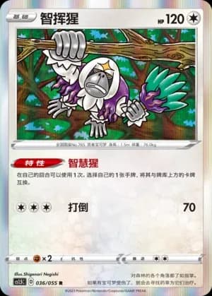 Oranguru 036