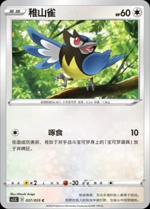 Rookidee 037