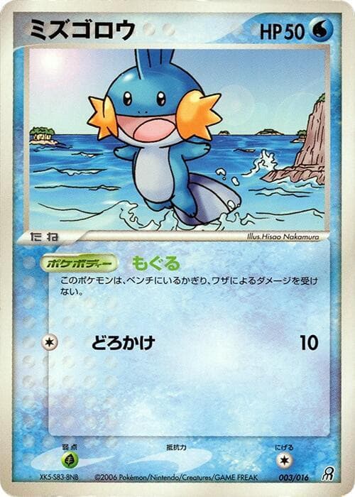 Mudkip 3
