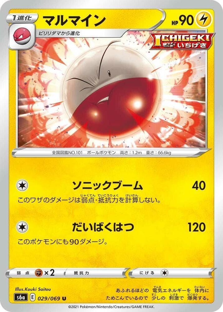 Electrode 029 Normal