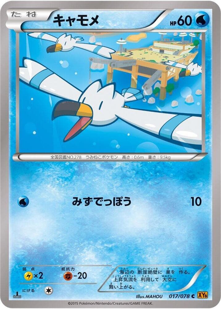 Wingull 017