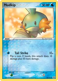 Mudkip 56