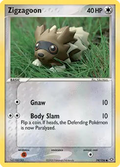 Zigzagoon 74