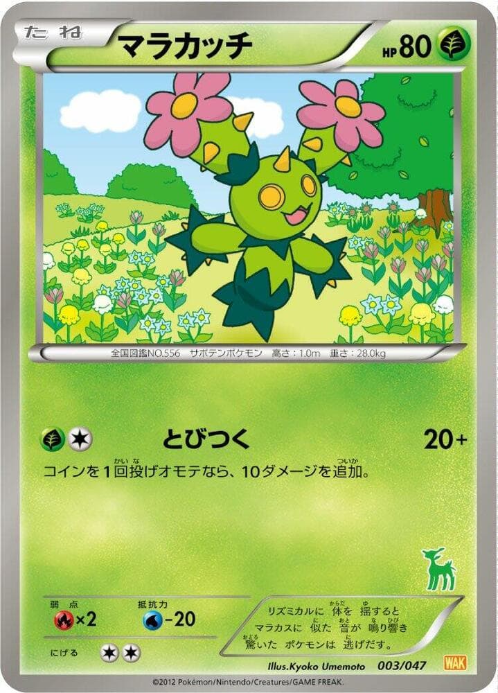 Maractus 003 Normal